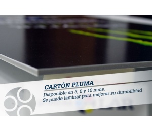 carton-pluma-perfil